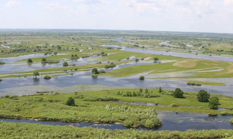 Национальный парк «Припятский» в Минске